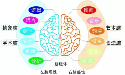 2017年北京全腦超速記憶國慶集訓(xùn)營(yíng) 告別死記硬背，激發(fā)孩子無限潛能