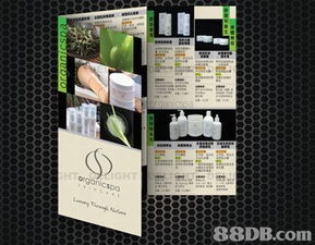 螢火蟲制作公司 多媒體設(shè)計服務(wù)引領(lǐng)創(chuàng)意未來